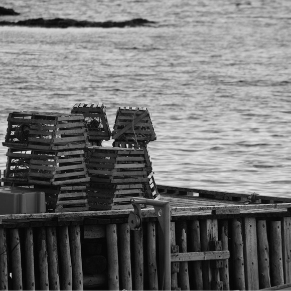 Meet your Posher, Alex - Picture 1 of 1